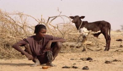 Sahel omrdet syd for Sahara
