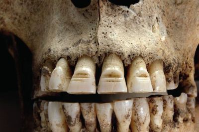 Modified Viking teeth