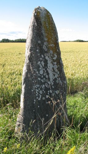 Runestone from Vï¿½stanåker in Vastergotland