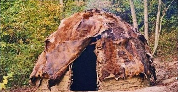 Rekonstruktion af kongemose hytte