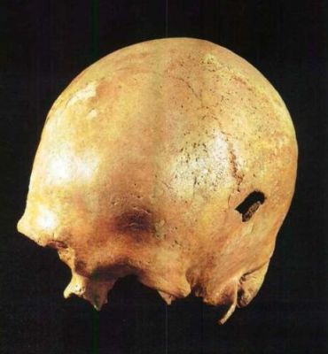 Skull found in a stone grave at Keldrød on Central Sjælland.