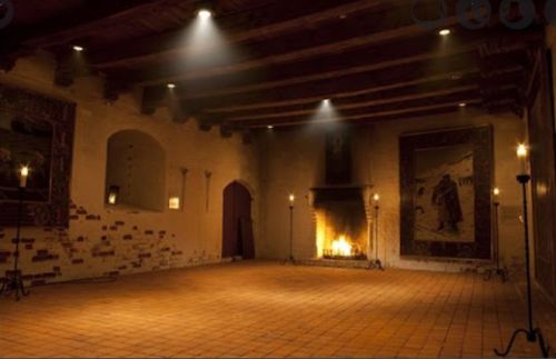 The Knights' Hall at Nyborg Castle where the danehof meetings took place