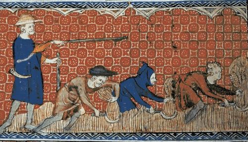 Farmers work in the field in the Middle Ages
