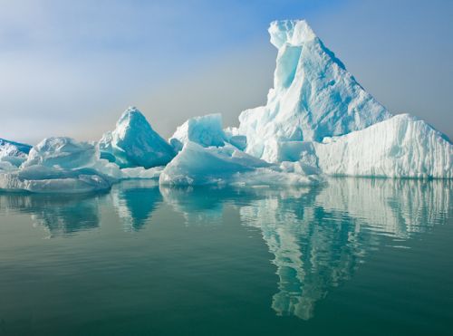 Isbjerge ved Grønlands kyst