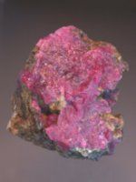200 carat multicrystalline ruby stone from Aappaluttoq
