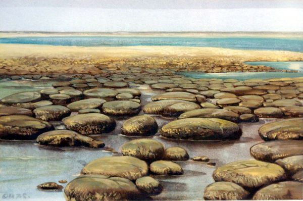 Kunstnerisk rekonstruktion af kystlinie i Proterozoikum