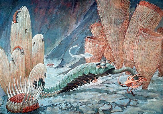Reconstruction of life in the Cambrian