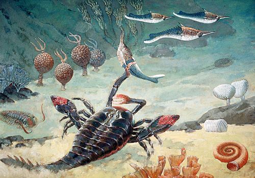 Life on the seabed in
Ordovician