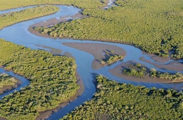 Gladstone Mangrove Sump i Australien