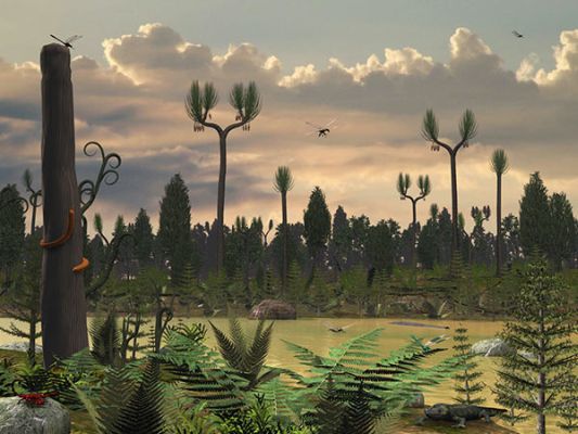 A Carboniferous landscape with ferns and tall Lycopod trees