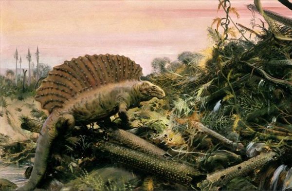 Dimetrodon fra Permian