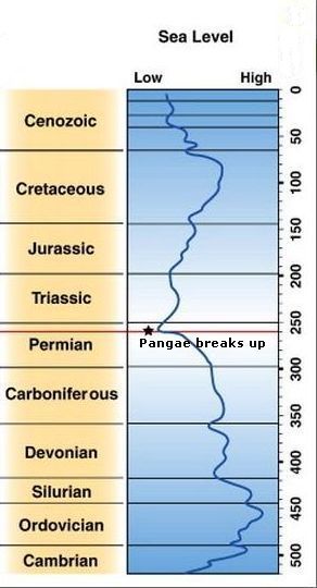 Global sea surface levels in the Phanerozoic