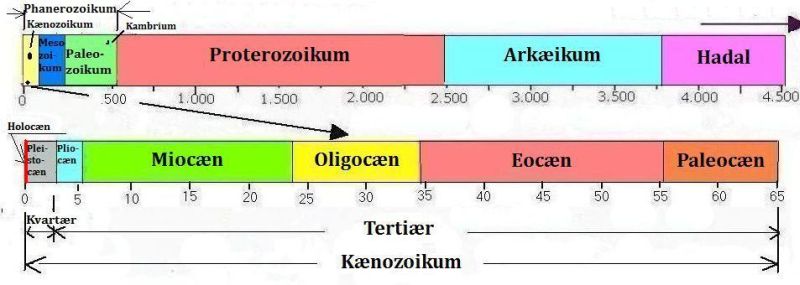De geologiske perioder i Kænozoikum