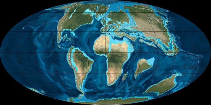 The world in Paleocene
