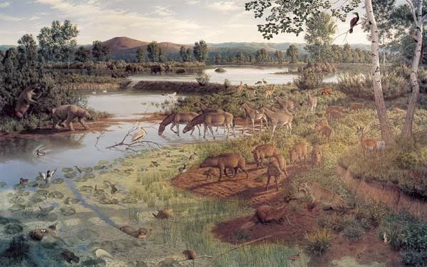 Kunstnerisk rekonstruktion af et landskab fra Pliocæn