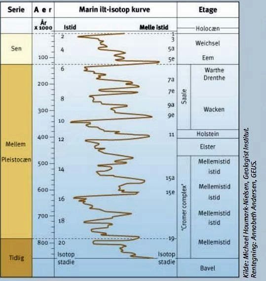 Variationer i oxygen-isotoper mellem egentlige istider og mellem-istider i løbet af mellem- og sen-Pleistocæn