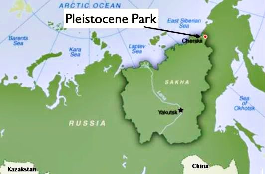 Pleistocene Park i Øst Sirbirien