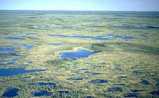 Landskab med mange søer i Canada