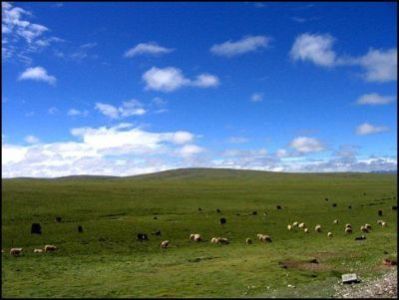 The highland of Qinghai Province