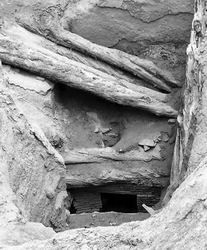 Tømmerstokke af cypres brugt i Tuyuhun gravhøje
