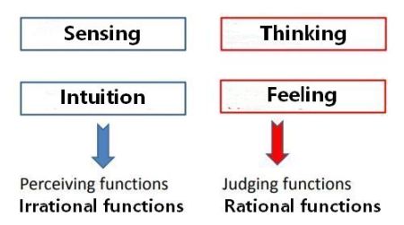 Jung's group division of functions