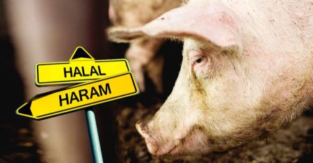 Det muslimske forbud mod svinekød