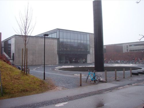 Southern Danish University