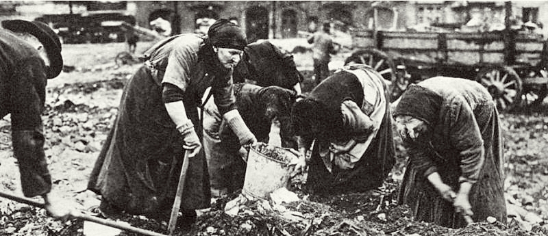 Berlin women are searching the waste to find something edible